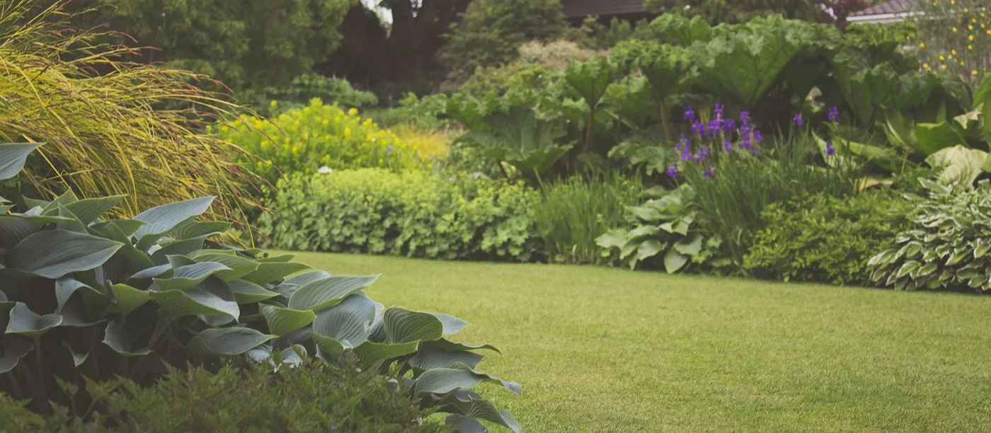 Greenfield Lawn Care โ a healthy, manicured backyard lawn with lush planted borders