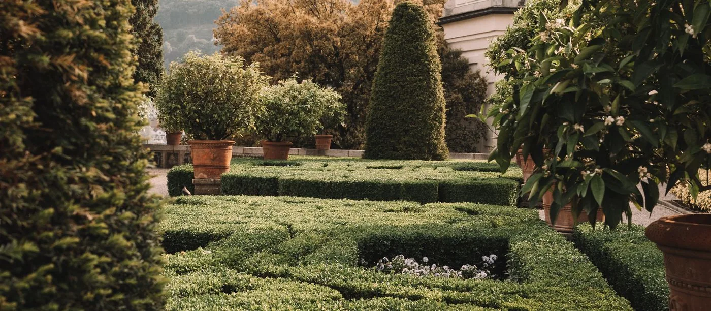 Verdanta Landscape Studio — a bespoke formal garden with clipped box hedges and topiary
