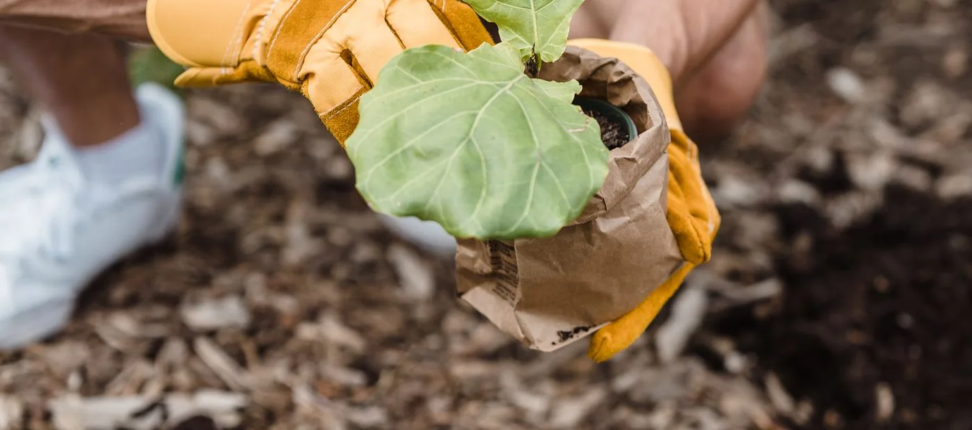 BrightPath Fund — gloved hands setting a young plant into fresh soil, a family putting down new roots