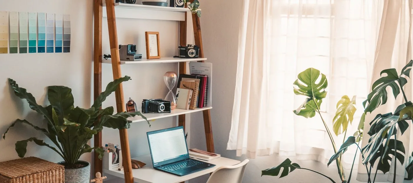 BrightPath Learning — a bright, plant-filled study corner with a sunny window where a child can settle in and focus