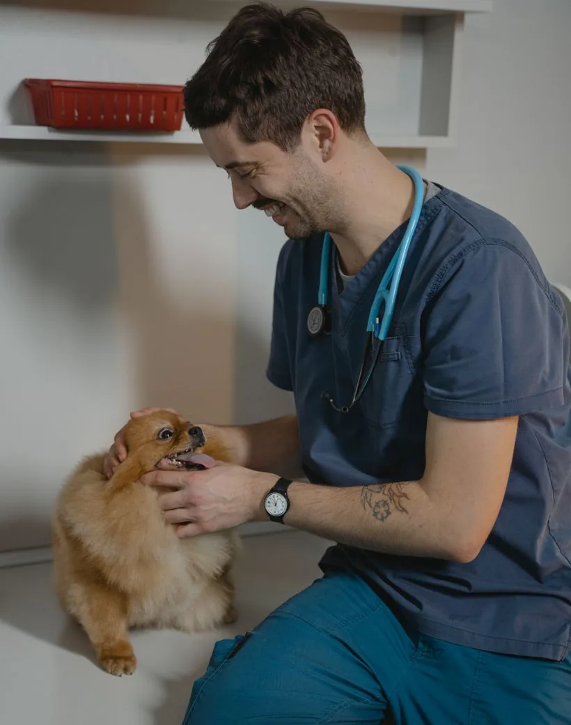 Harborside Animal Clinic — a smiling veterinarian sharing a friendly moment with a happy dog